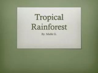 Tropical Rainforest