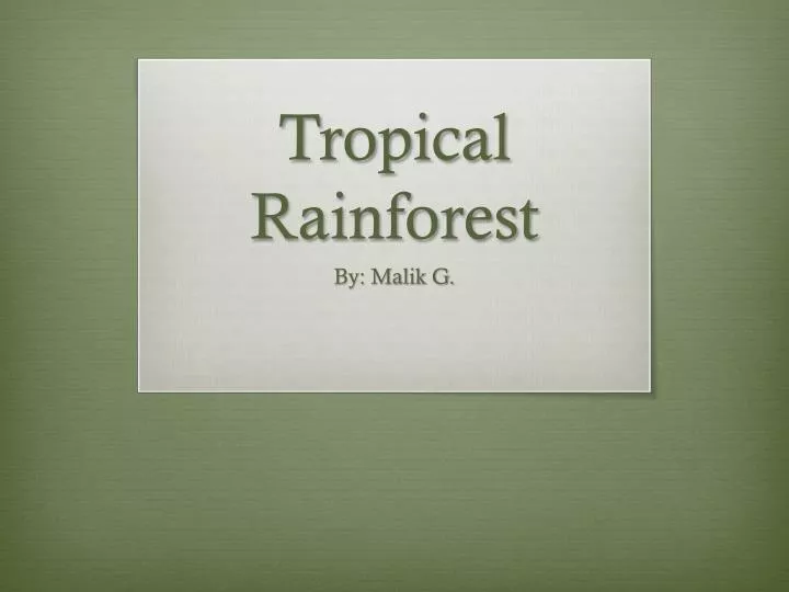 tropical rainforest