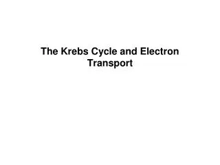 The Krebs Cycle and Electron Transport