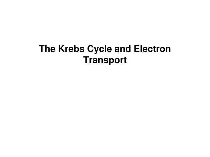 the krebs cycle and electron transport