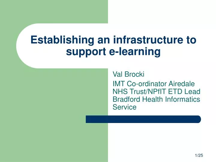 establishing an infrastructure to support e learning