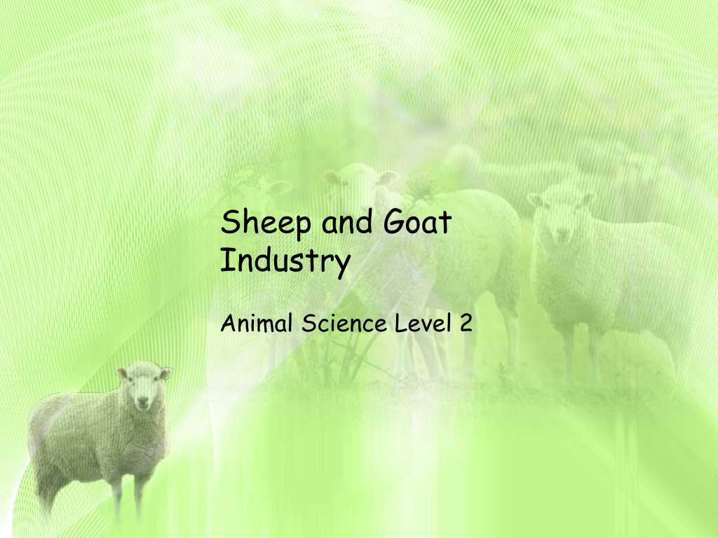 PPT - Sheep and Goat Industry PowerPoint Presentation, free download ...