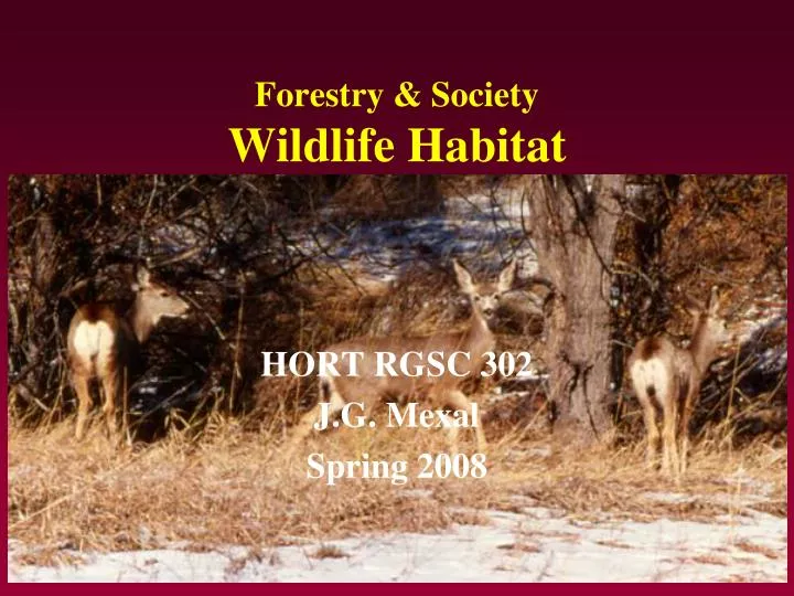 forestry society wildlife habitat