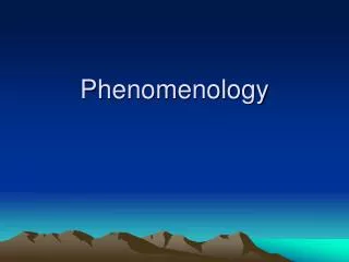 Phenomenology