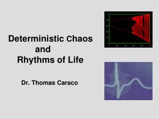 Deterministic C haos and Rhythms of Life