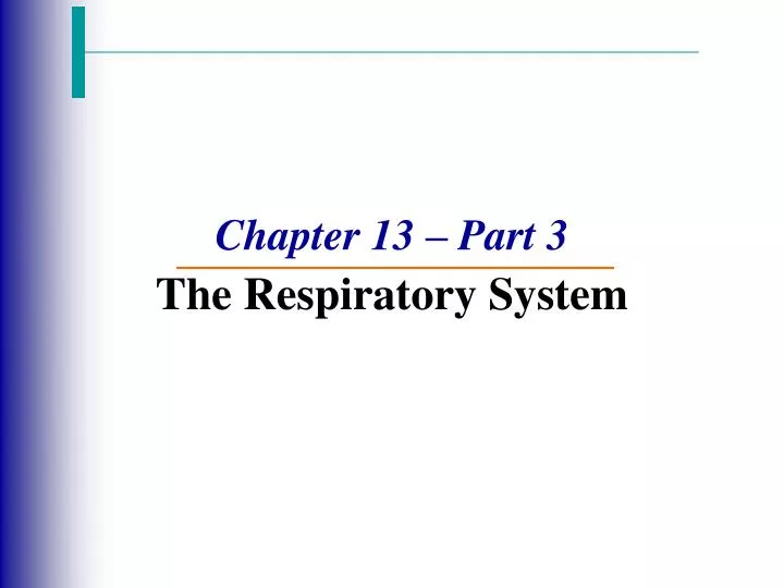 chapter 13 part 3 the respiratory system