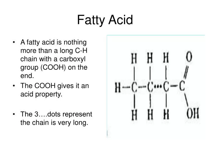 fatty acid