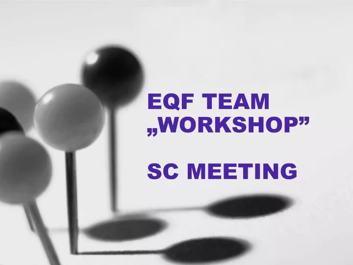 eqf team workshop sc meeting