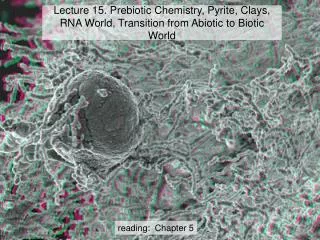 Lecture 15. Prebiotic Chemistry, Pyrite, Clays, RNA World, Transition from Abiotic to Biotic World