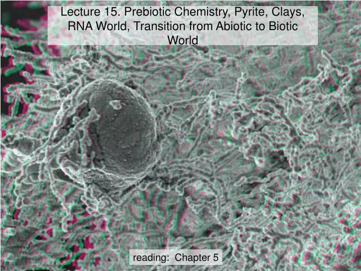 lecture 15 prebiotic chemistry pyrite clays rna world transition from abiotic to biotic world