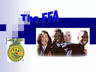 The FFA
