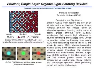 Efficient, Single-Layer Organic Light-Emitting Devices