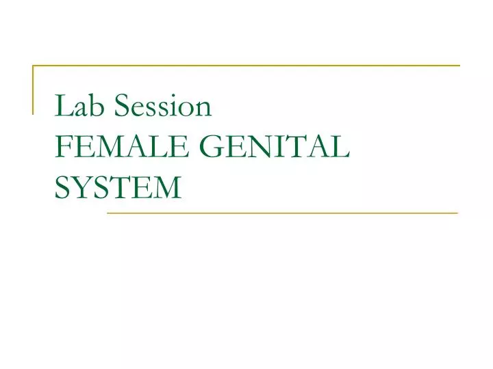 lab session female genital system