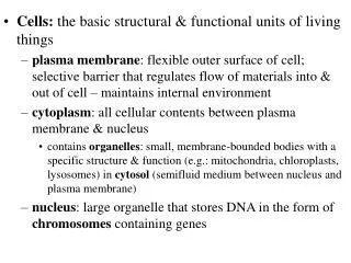 Cells: the basic structural &amp; functional units of living things