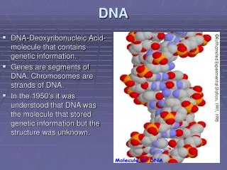 DNA