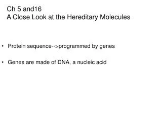 Ch 5 and16 A Close Look at the Hereditary Molecules