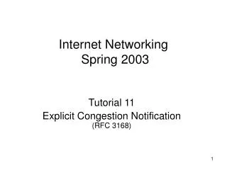 internet networking spring 2003