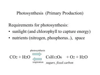Photosynthesis (Primary Production)