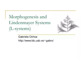 Morphogenesis and Lindenmayer Systems (L-systems)