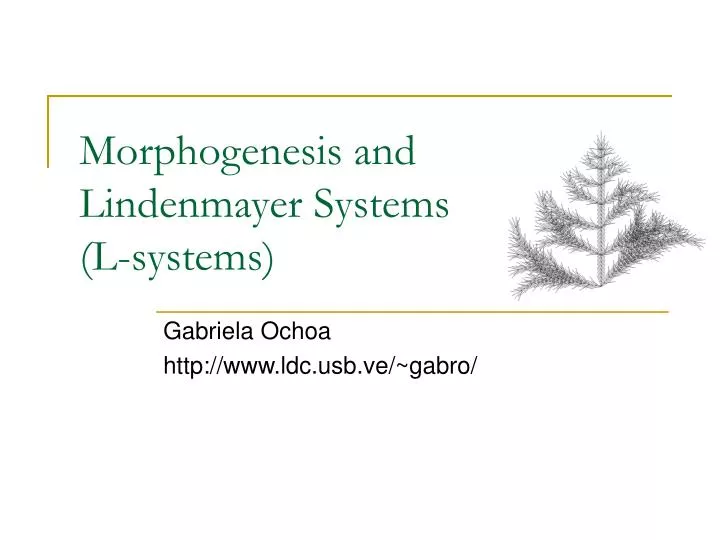 morphogenesis and lindenmayer systems l systems