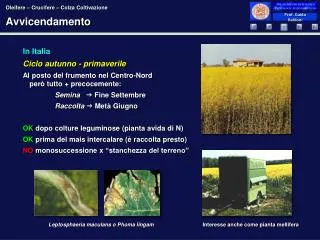 avvicendamento