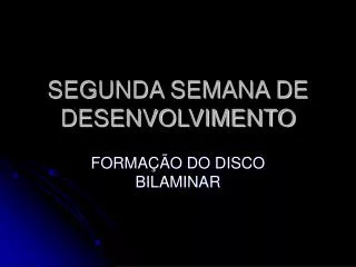 segunda semana de desenvolvimento