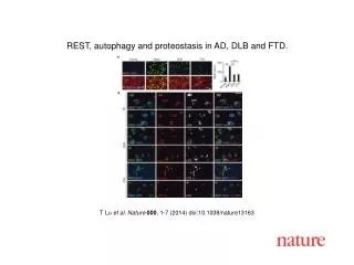 T Lu et al. Nature 000 , 1-7 (2014) doi:10.1038/nature13163