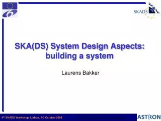 SKA(DS) System Design Aspects: building a system