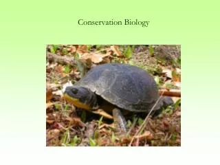 Conservation Biology