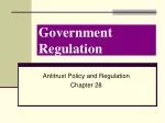 Government Regulation - slide 1