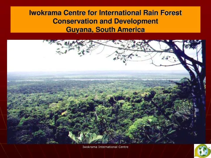 iwokrama centre for international rain forest conservation and development guyana south america