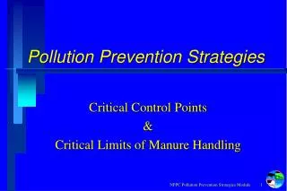 Pollution Prevention Strategies