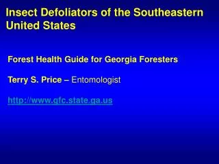Insect Defoliators of the Southeastern United States