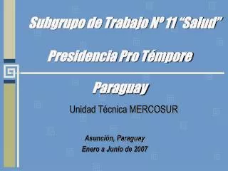 unidad t cnica mercosur