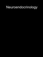 Neuroendocrinology - slide 1