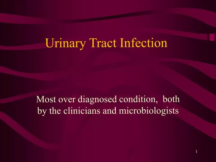 Ppt Urinary Tract Infection Powerpoint Presentation Free Download Id5630123 6630