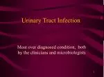 Urinary Tract Infection - slide 1