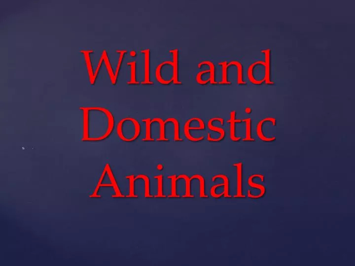 wild and domestic animals