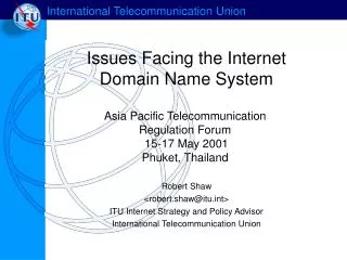 Issues Facing the Internet Domain Name System
