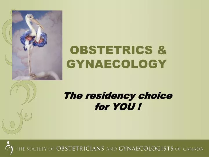 obstetrics gynaecology