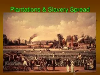 Plantations &amp; Slavery Spread