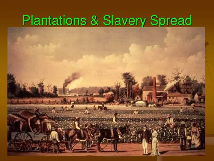 plantations slavery spread