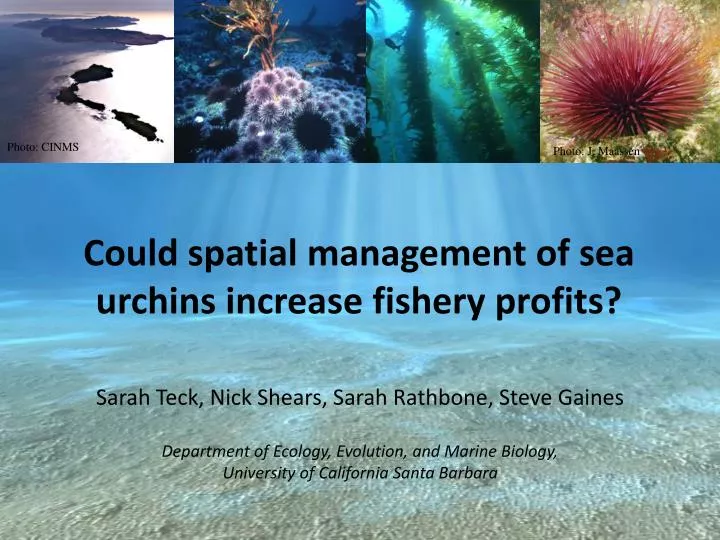 could spatial management of sea urchins increase fishery profits