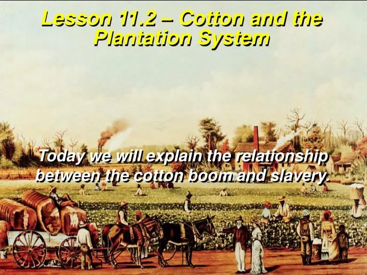 lesson 11 2 cotton and the plantation system