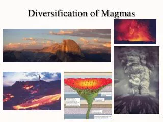 Diversification of Magmas