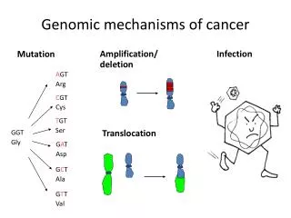 Genomic mechanisms of cancer