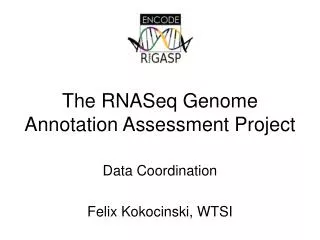 The RNASeq Genome Annotation Assessment Project