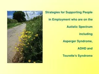 Strategies for Supporting People in Employment who are on the Autistic Spectrum including