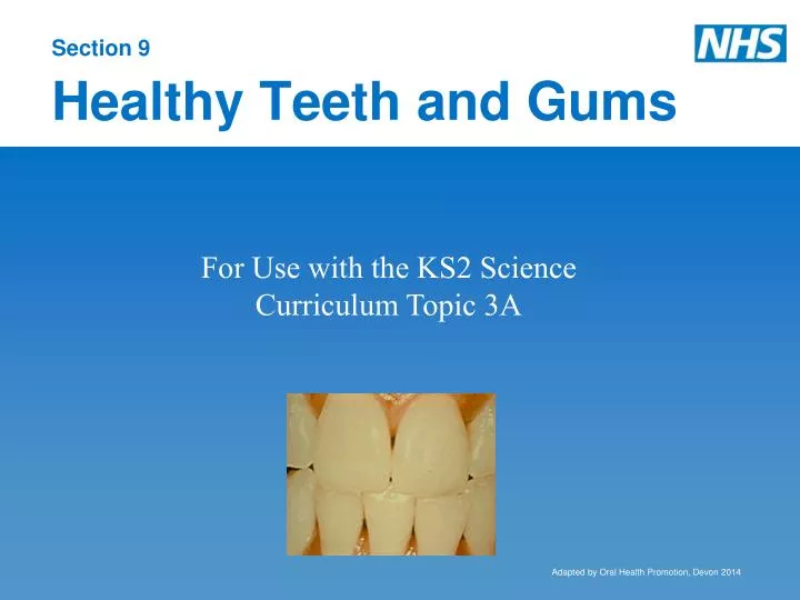 section 9 healthy teeth and gums