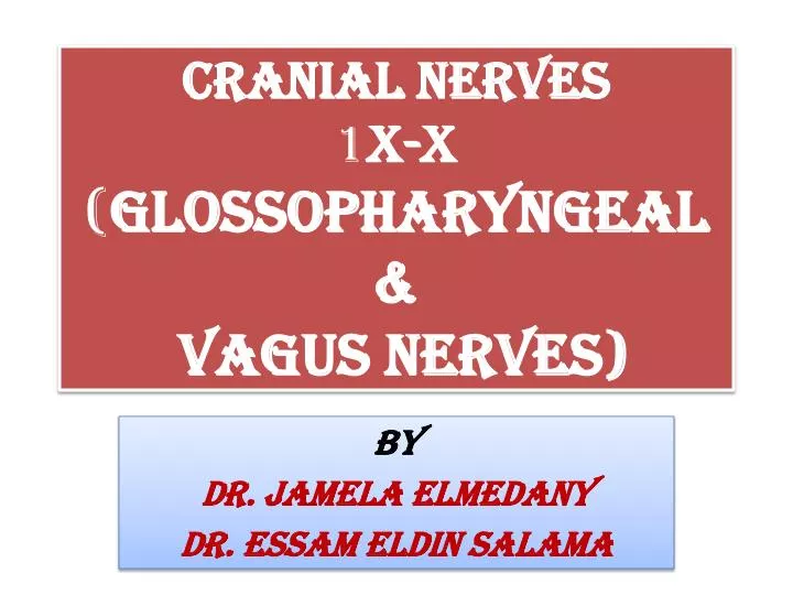 cranial nerves 1 x x glossopharyngeal vagus nerves